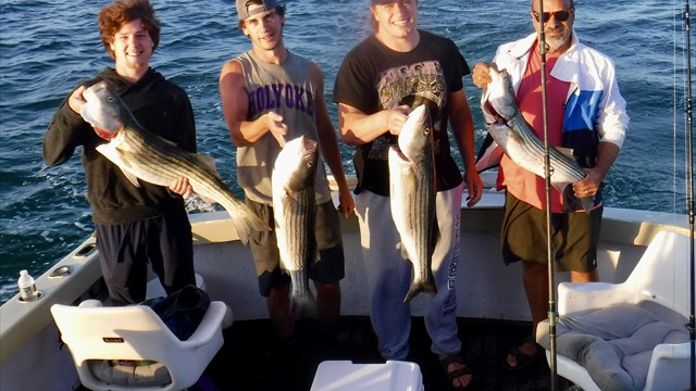 A good day on cape cod bay!