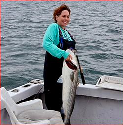 Another nice striped bass